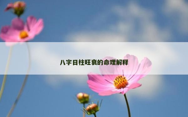 八字日柱旺衰的命理解釋