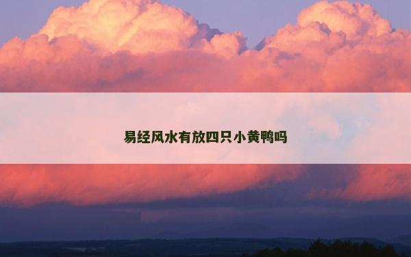 易經風水有放四只小黃鴨嗎