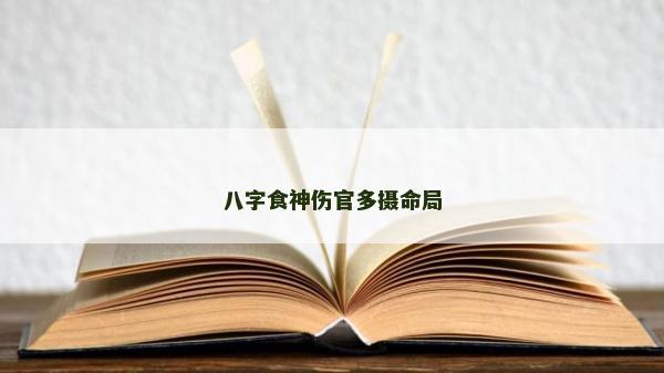 八字食神傷官多攝命局