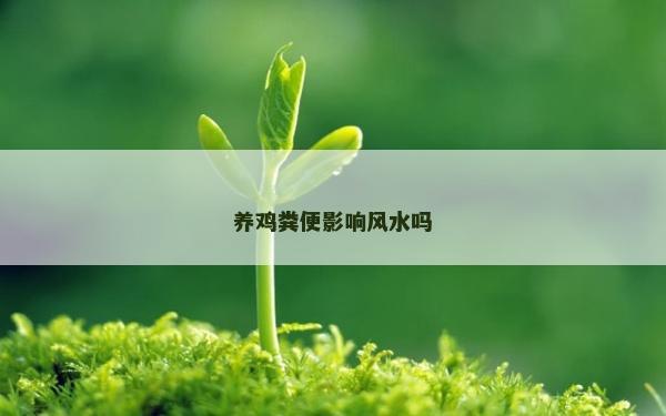 養(yǎng)雞糞便影響風(fēng)水嗎