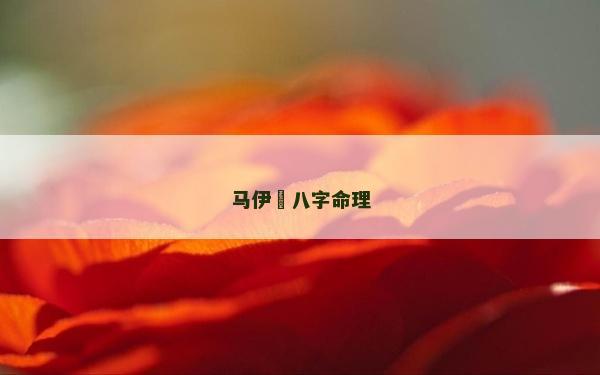 馬伊琍八字命理