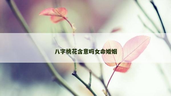 八字桃花含意嗎女命婚姻