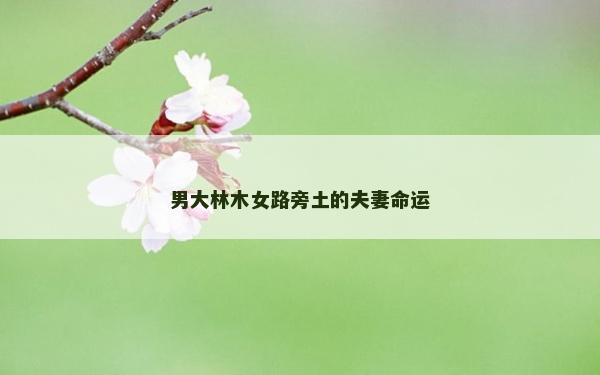 男大林木女路旁土的夫妻命運