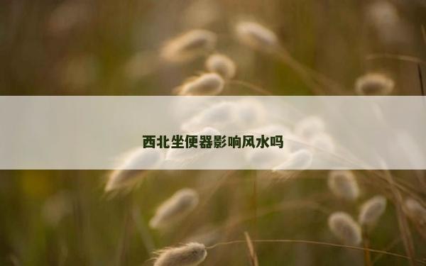 西北坐便器影響風水嗎