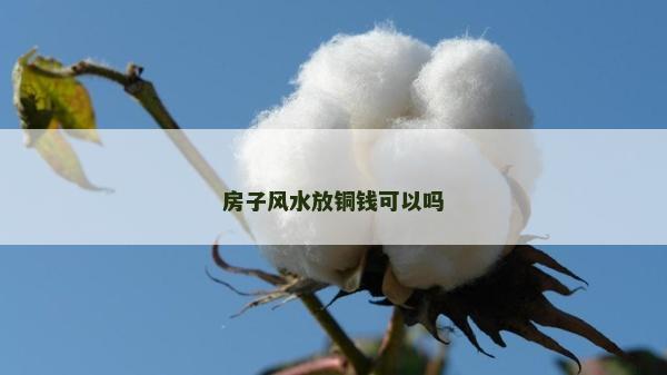 房子風水放銅錢可以嗎