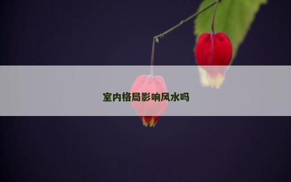 室內格局影響風水嗎