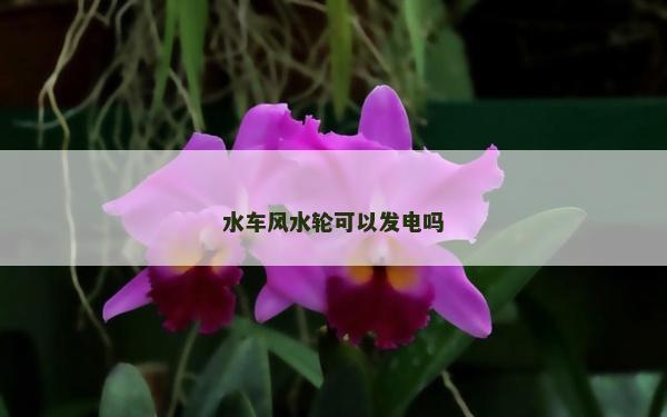水車風水輪可以發電嗎