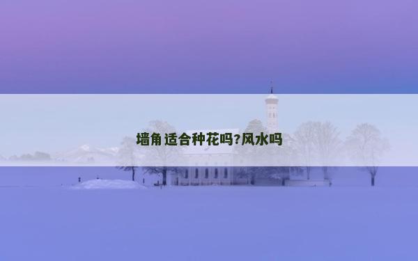 墻角適合種花嗎?風水嗎