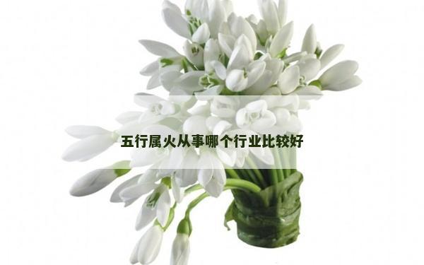 五行屬火從事哪個行業比較好