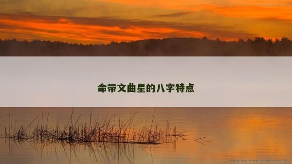 命帶文曲星的八字特點