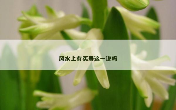 風水上有買壽這一說嗎