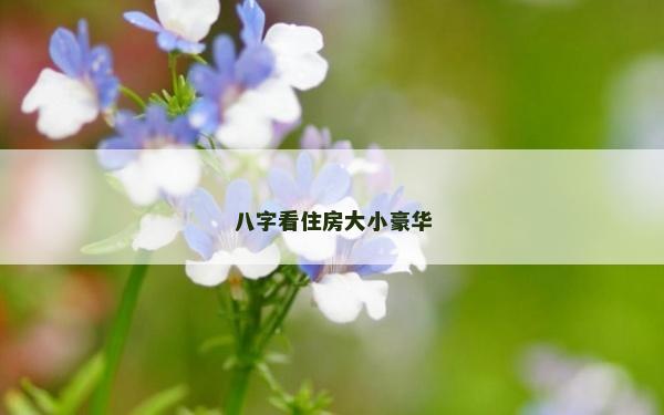 八字看住房大小豪華