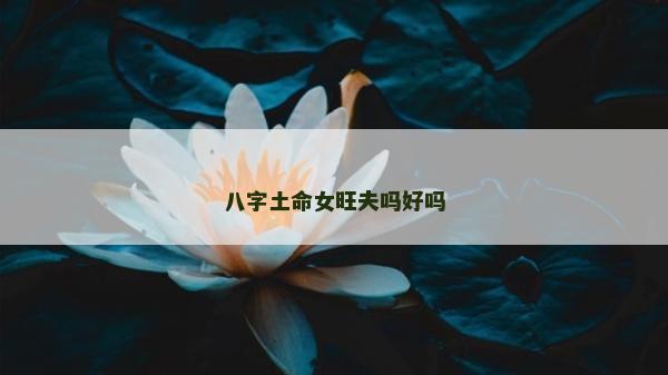 八字土命女旺夫嗎好嗎