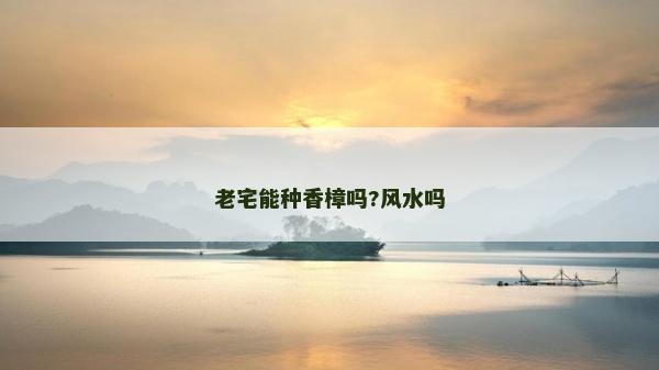 老宅能種香樟嗎?風水嗎
