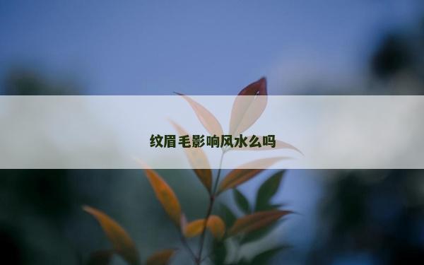 紋眉毛影響風水么嗎