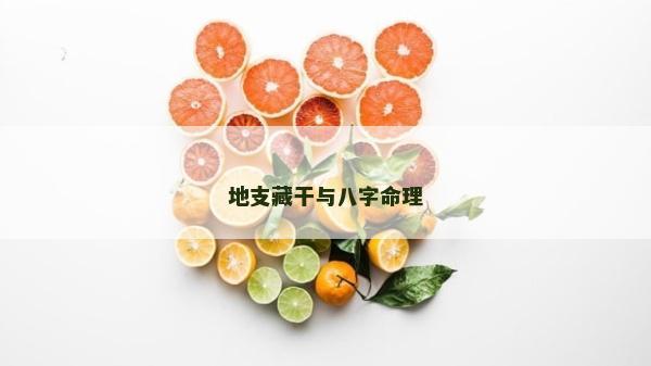 地支藏干與八字命理 地支藏干與八字命理