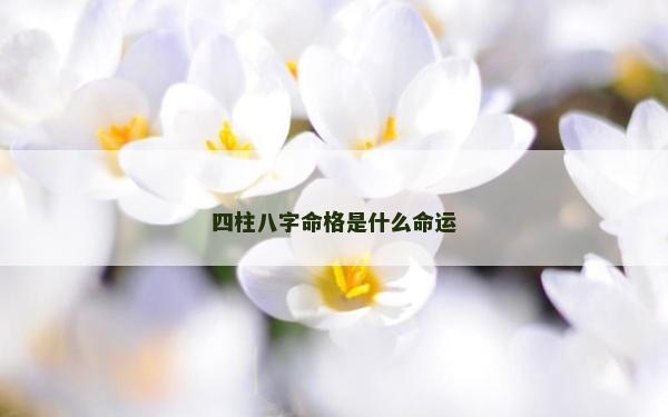 四柱八字命格是什么命運(yùn)