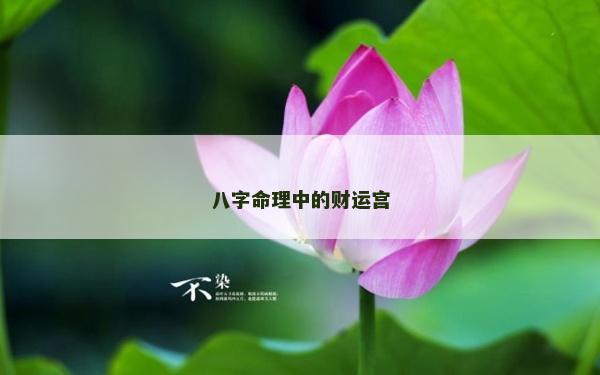 八字命理中的財運宮