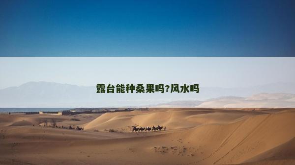 露臺能種桑果嗎?風水嗎