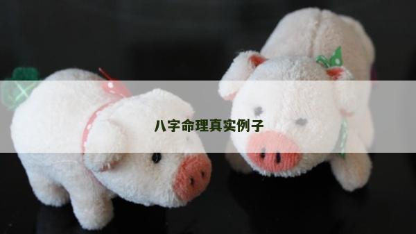 八字命理真實例子