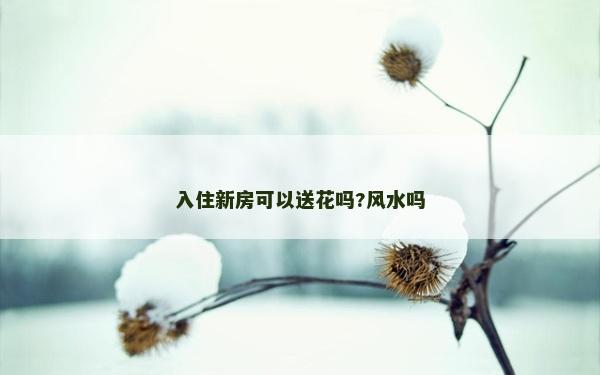 入住新房可以送花嗎?風水嗎