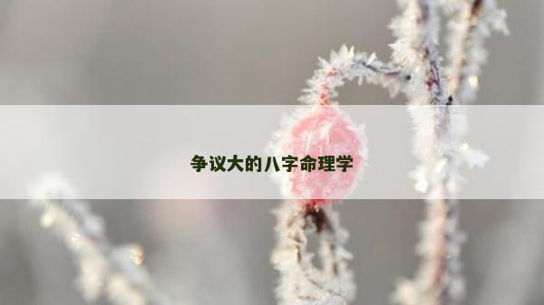 爭議大的八字命理學