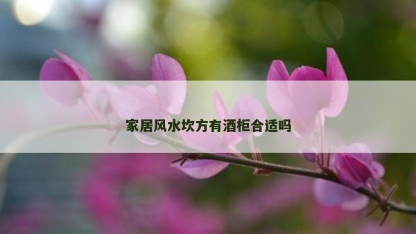家居風水坎方有酒柜合適嗎
