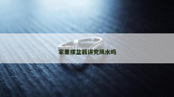 家里擺盆栽講究風水嗎