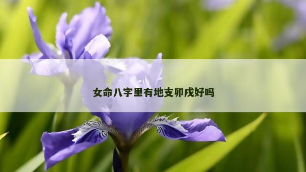 女命八字里有地支卯戌好嗎