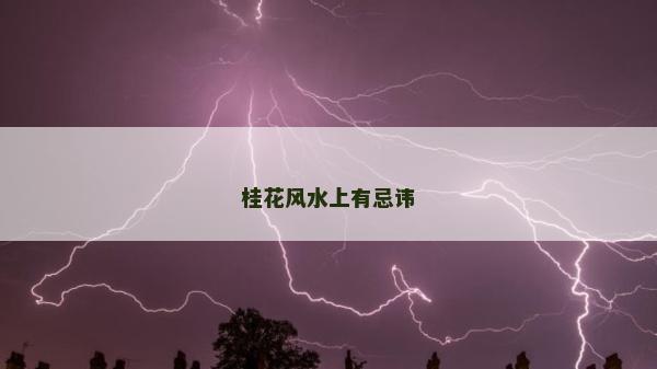 桂花風水上有忌諱