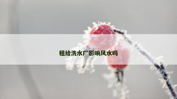 租給洗水廠影響風水嗎 租給洗水廠影響風水嗎