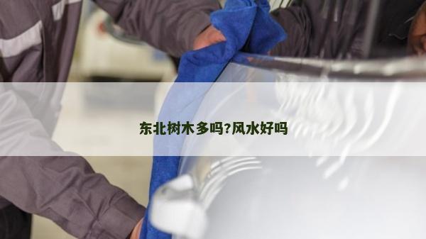 東北樹木多嗎?風(fēng)水好嗎