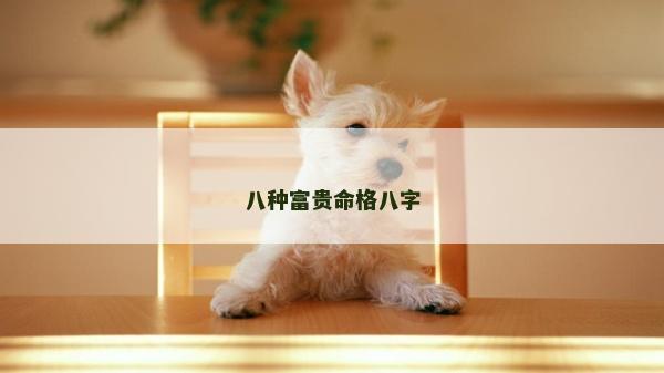 八種富貴命格八字