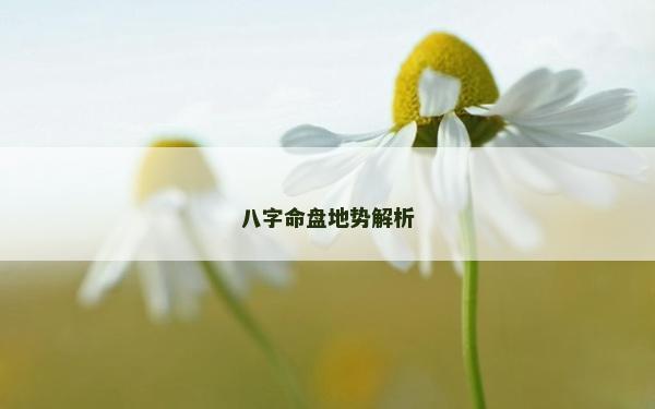 八字命盤地勢解析