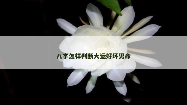 八字怎樣判斷大運好壞男命