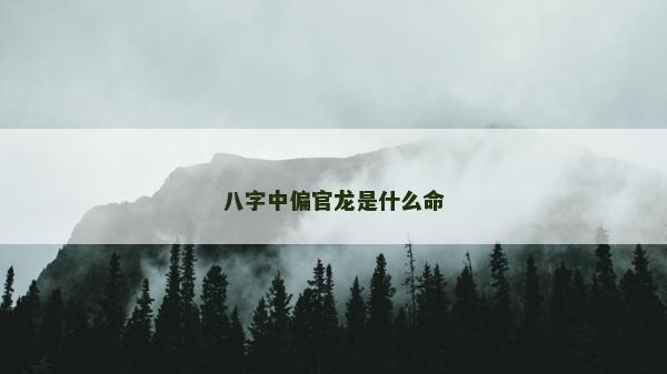 八字中偏官龍是什么命