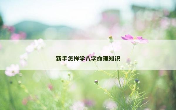 新手怎樣學(xué)八字命理知識(shí)