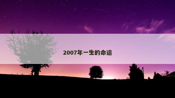 2007年一生的命運