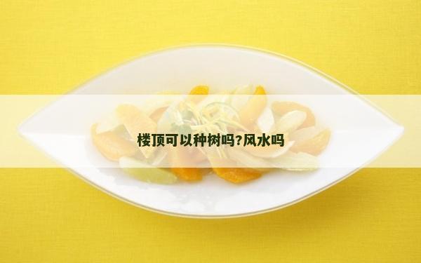 樓頂可以種樹嗎?風水嗎