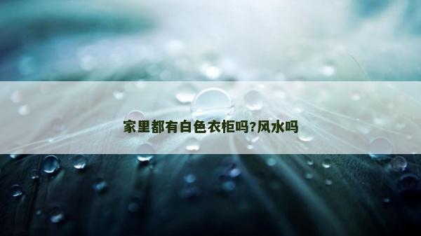 家里都有白色衣柜嗎?風水嗎