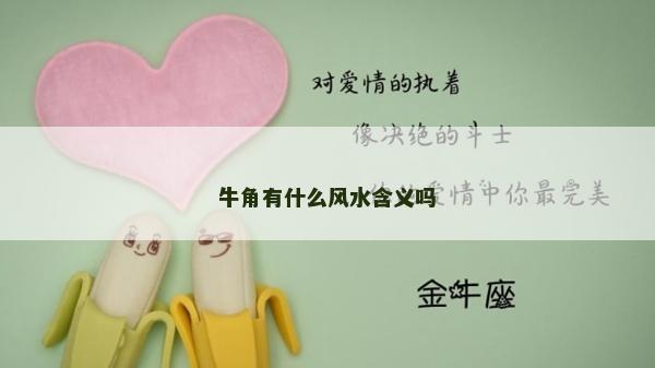 牛角有什么風(fēng)水含義嗎