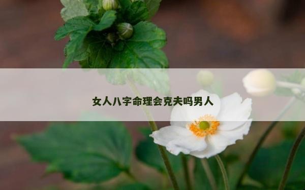 女人八字命理會克夫嗎男人 女人八字命理會克夫嗎男人
