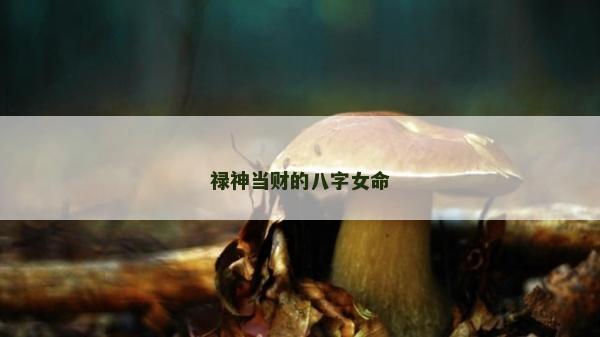 祿神當財的八字女命