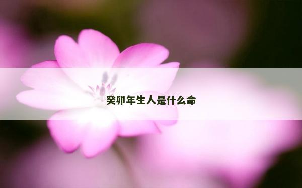 癸卯年生人是什么命