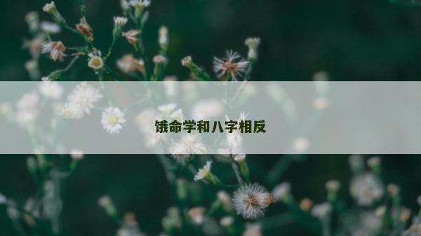 餓命學和八字相反