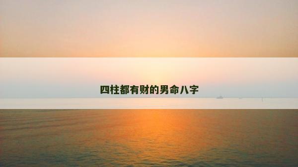 四柱都有財的男命八字