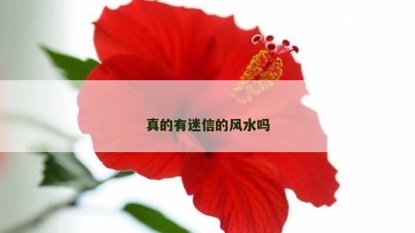 真的有迷信的風水嗎