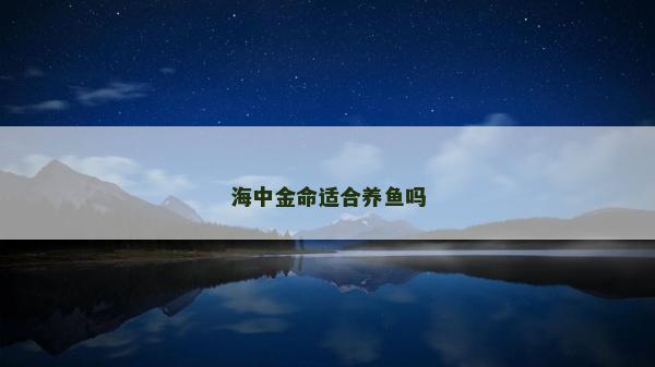 海中金命適合養魚嗎