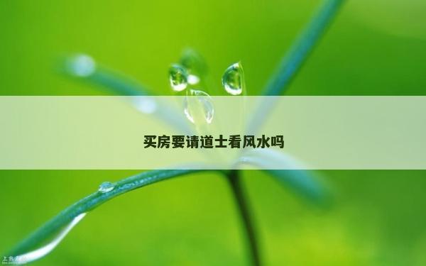 買房要請道士看風水嗎