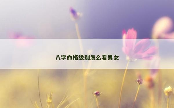 八字命格級(jí)別怎么看男女 八字命格級(jí)別怎么看男女